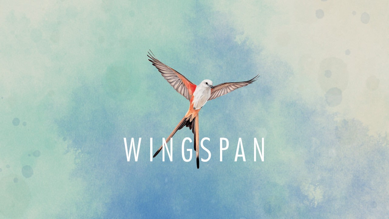 Wingspan