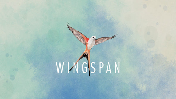 Wingspan board game 3D printed food tokens egg upgrades and accessories