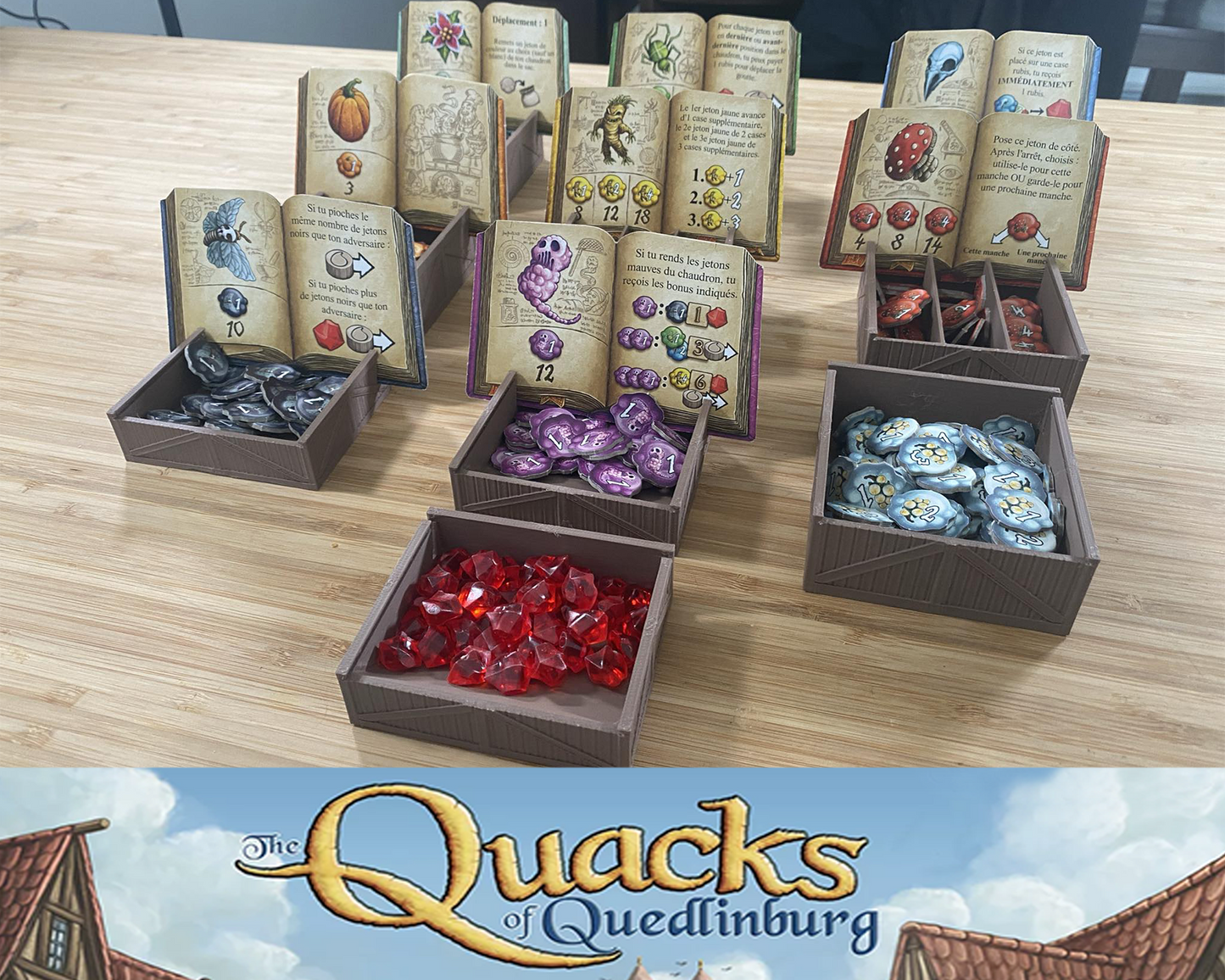 The Quacks of Quedlinburg storage boxes - Fit both expansions