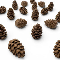 Cascadia Pine Cone Tokens – 25 or 40 Pack – Original Larger Design – Compatible with Landmarks Expansion – Board Game Upgrade