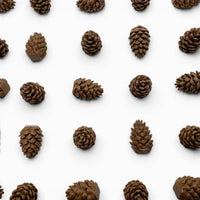 Cascadia Pine Cone Tokens – 25 or 40 Pack – Original Larger Design – Compatible with Landmarks Expansion – Board Game Upgrade