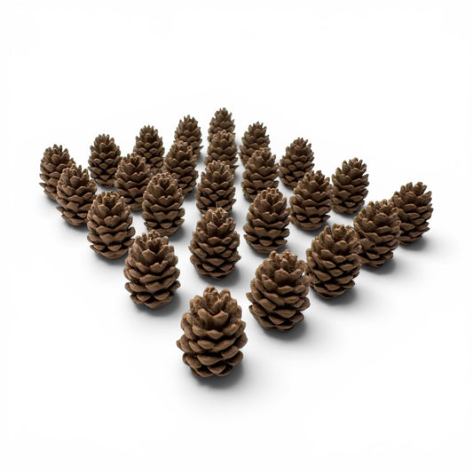 Cascadia Pine Cone Tokens – 25 or 40 Pack – Original Larger Design – Compatible with Landmarks Expansion – Board Game Upgrade